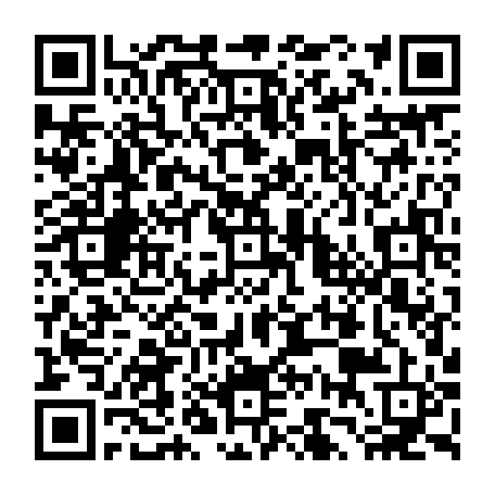 79833250411