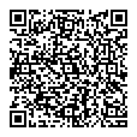79833250782