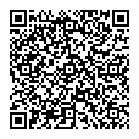 79833251211