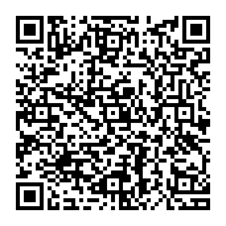 79833251382