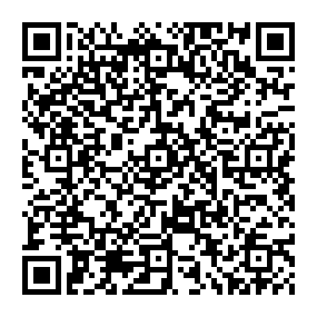79833299811