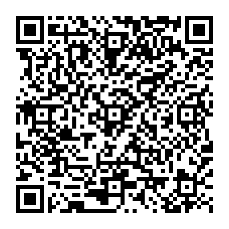 79834500232