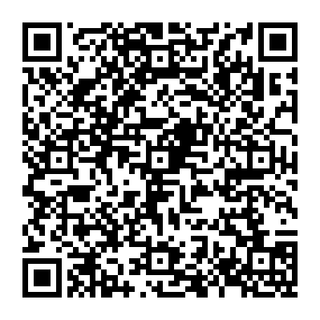 79834500233