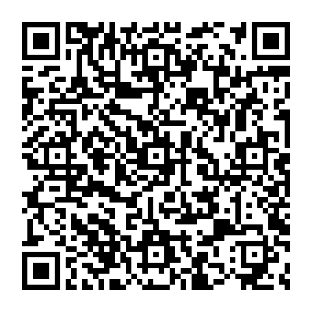 79834501955