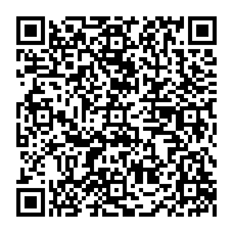79835001411