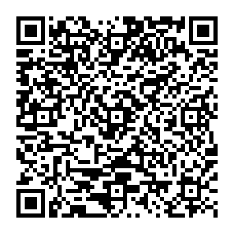 79853800619