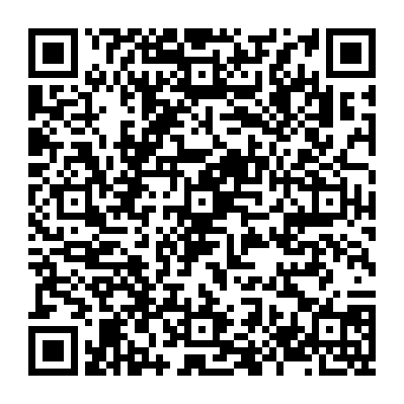 79853800741