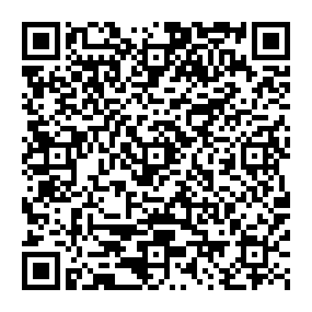 79853800817