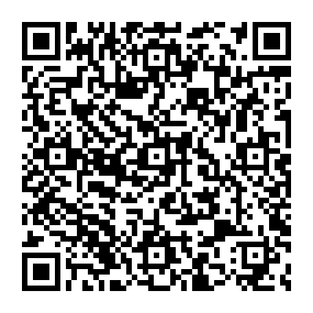 79853801904