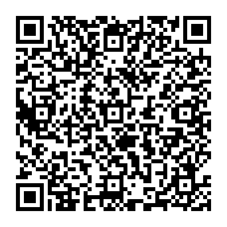 79853804161