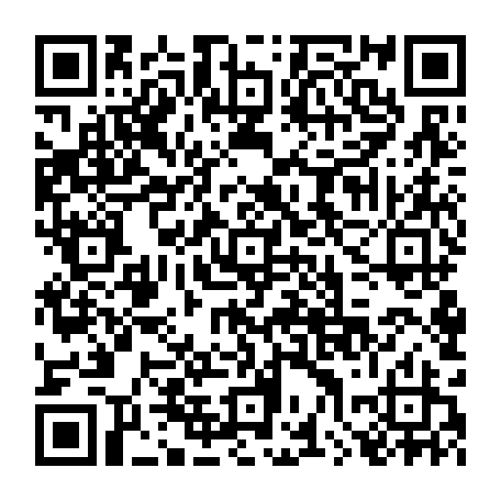 79880600381