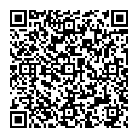 79884003055