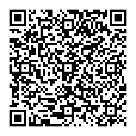79884003411