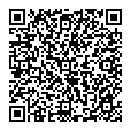79884003503