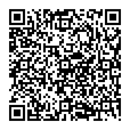 79884003956