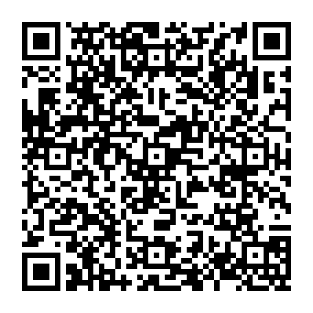 79884004082