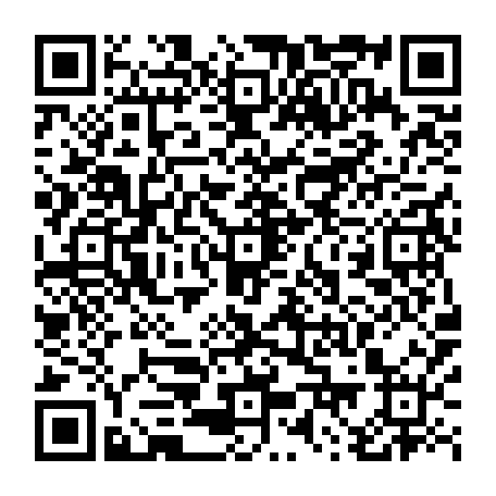 79884004155