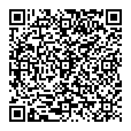 79884004207