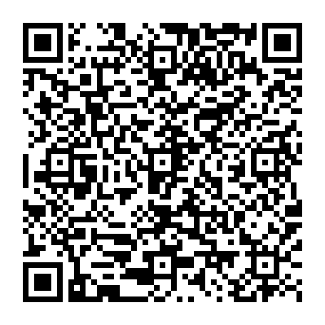 79884004231