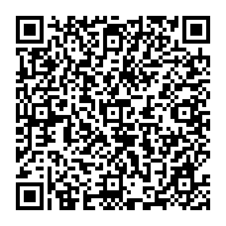 79884004382