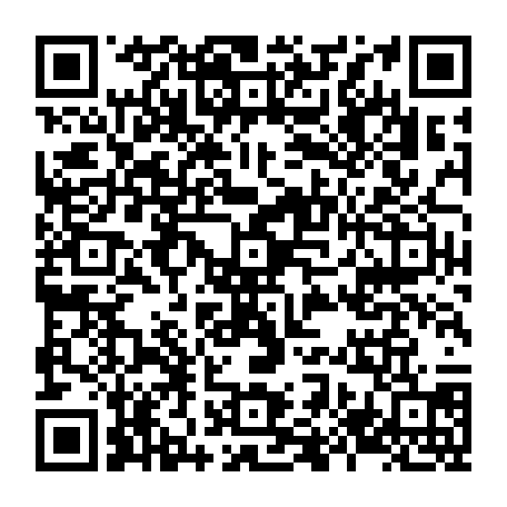 79884004475