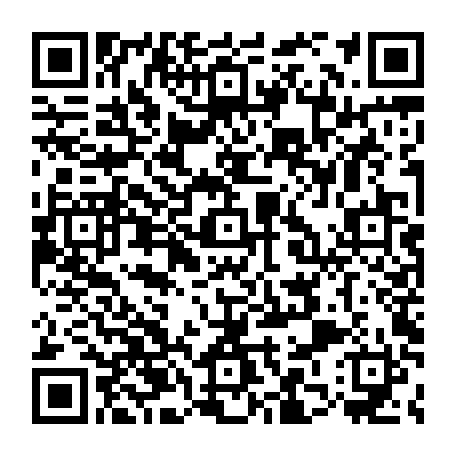 79884004497