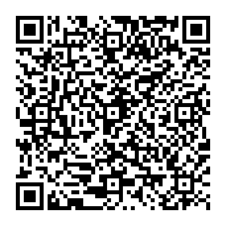 79884004499