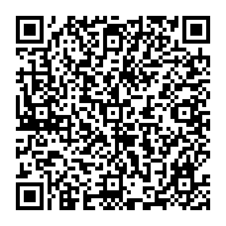79884004898