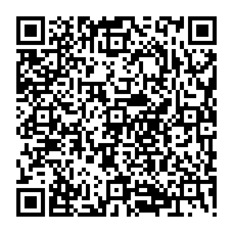 79884004917