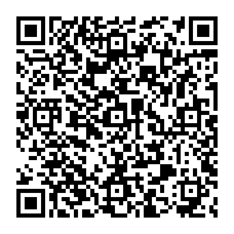 79884004951