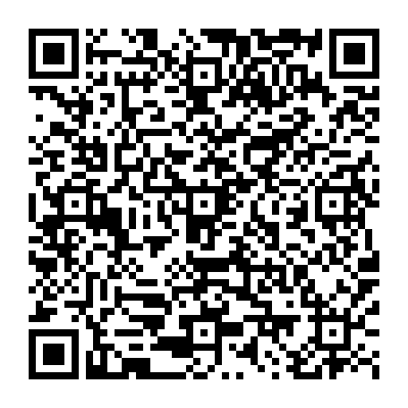 79884004993