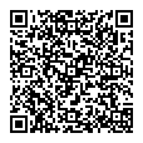 79884005033