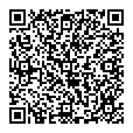 79884005036