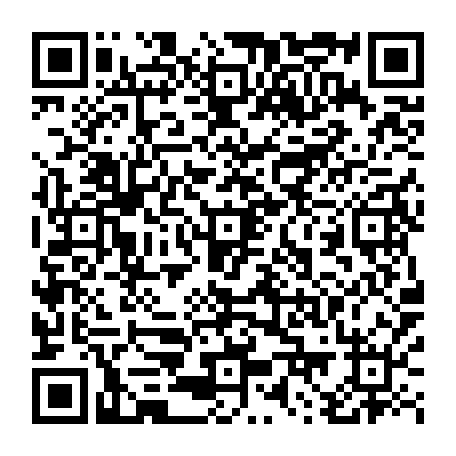 79884005061