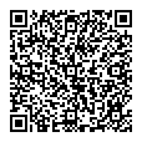 79884005081