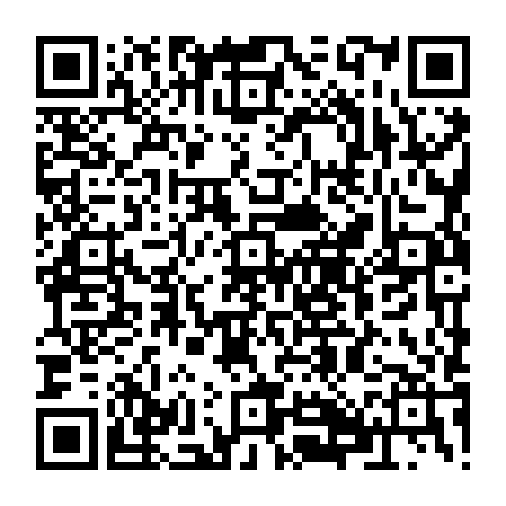 79884005082