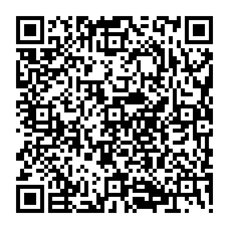 79884005454