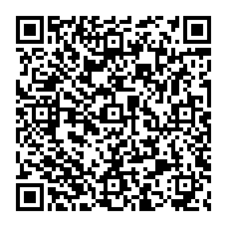 79884006019