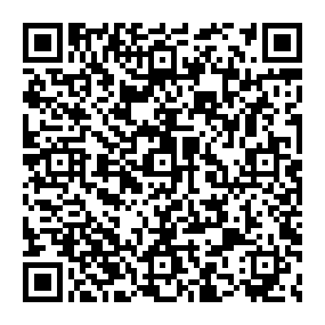 79884006619
