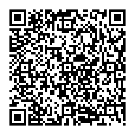 79884006677
