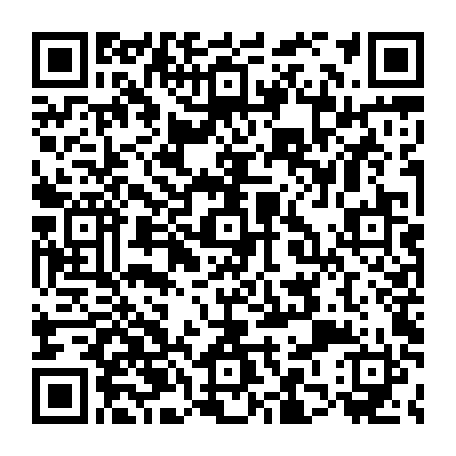 79884007564