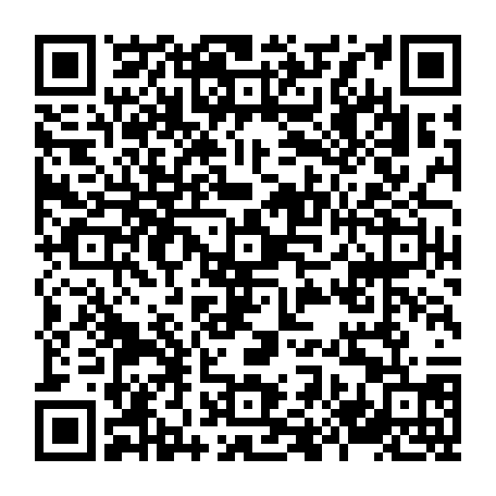 79884007851