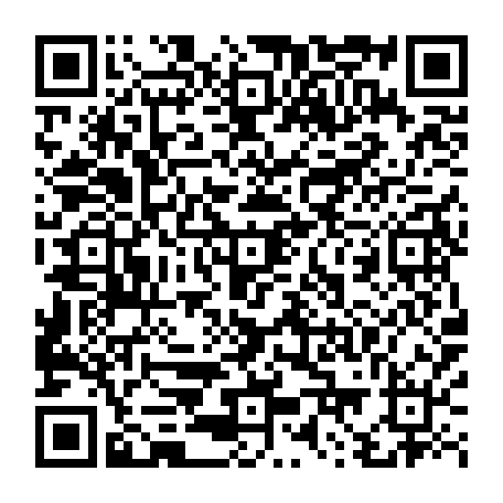 79884008062