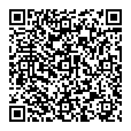 79884008249