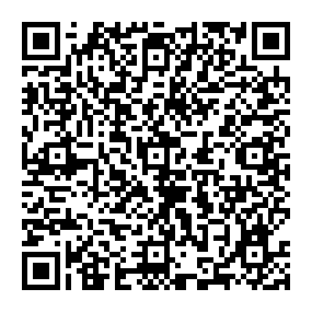 79884009019
