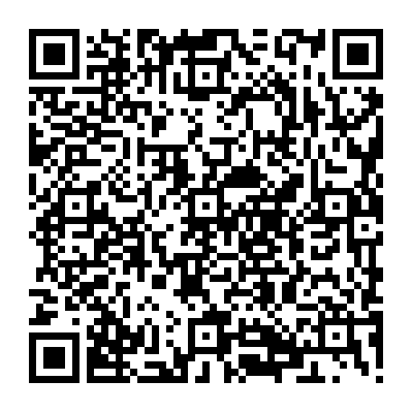 79884009038