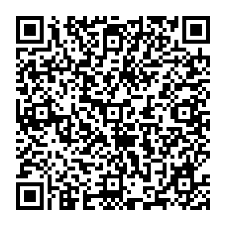 79884010033