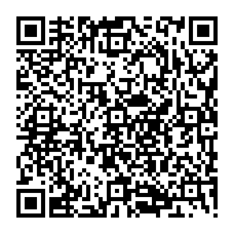 79884010063