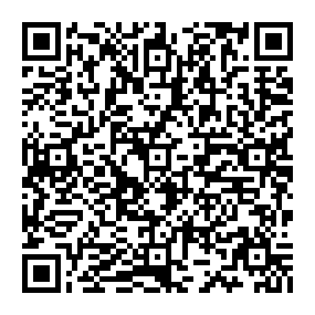 79884010083