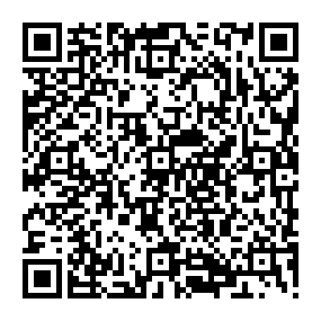79884010569